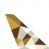تطبيق Etihad Airways برو