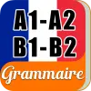 Learn French Beginner Grammar Apk
