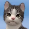 لعبه Kitten: Cat Game Simulator apk مهكر