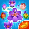 لعبه Blossom Blast Saga apk مهكر