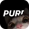 تطبيق purp - Make new friends برو