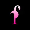 Flamingo Apk