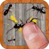 لعبه Ant Smasher by Best Cool  Fun apk مهكر