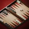 لعبه Backgammon-Offline Board Games apk مهكر