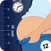 Lose Belly Fat-12 Days at Home Apk