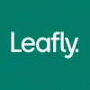 Leafly: Find Cannabis and CBD Apk
