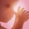 Pregnancy + | Tracker App Apk