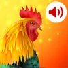 تطبيق الحيوانات: نغمات برو