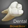 تطبيق BoneBox™ - Dental Lite برو