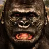 لعبه Ultimate Gorilla Simulator apk مهكر