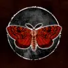 لعبه Moth Lake: A Horror Story apk مهكر