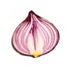 تطبيق محرك البحث Onion برو