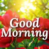 Good Morning Images  Messages Apk