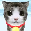 لعبه Cat Simulator apk مهكر