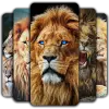 Lion Wallpaper Apk
