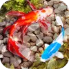 تطبيق Fish Tank Animated Keyboard +  برو