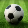 World Soccer League Mod