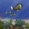 Fish Tycoon Lite Mod