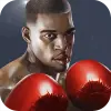 Punch Boxing 3D Mod