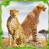 Cheetah Simulator Cheetah Game Mod