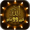 99 Names of Allah-AsmaUlHusna Apk