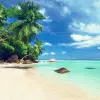 تطبيق Beach HD Wallpapers برو