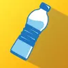 Bottle Flip Jump 3D Game Mod