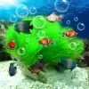 تطبيق Aquarium Live Wallpaper برو