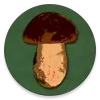 Book of Mushrooms Apk
