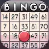 Bingo Infinity Mod