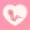 Pregnancy Tracker  Baby Guide Apk