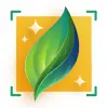 Plant-X, Plant Identification Apk