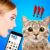 Cat Translate: Speak to Kitten Apk