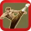 لعبه KungFu Quest : The Jade Tower apk مهكر