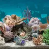 تطبيق 3D Aquarium Live Wallpaper برو