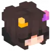 تطبيق Aesthetic Skin for Minecraft برو