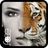تطبيق Beauty Face Plus :  face morph برو