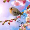 تطبيق Flower Live Wallpaper برو