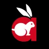 تطبيق Rabbit Movies برو
