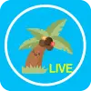 تطبيق Yaja Live Video Chat برو