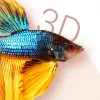 تطبيق Betta Fish 3D Lite برو