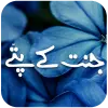 تطبيق Janat Ke Patay برو