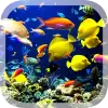 تطبيق Real Aquarium Live Wallpaper برو