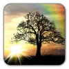 Sun Rise Free Live Wallpaper Apk