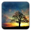 Sunset Hill Free LiveWallpaper Apk