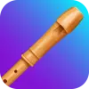 تطبيق Recorder Lessons - tonestro برو