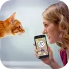 Cat Language Translator - Meow Mod