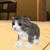 لعبه Katze Kätzchen Simulator Craft apk مهكر