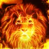Fire Lion Wallpaper + Keyboard Apk