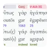 Hebrew/Greek Interlinear Bible Apk